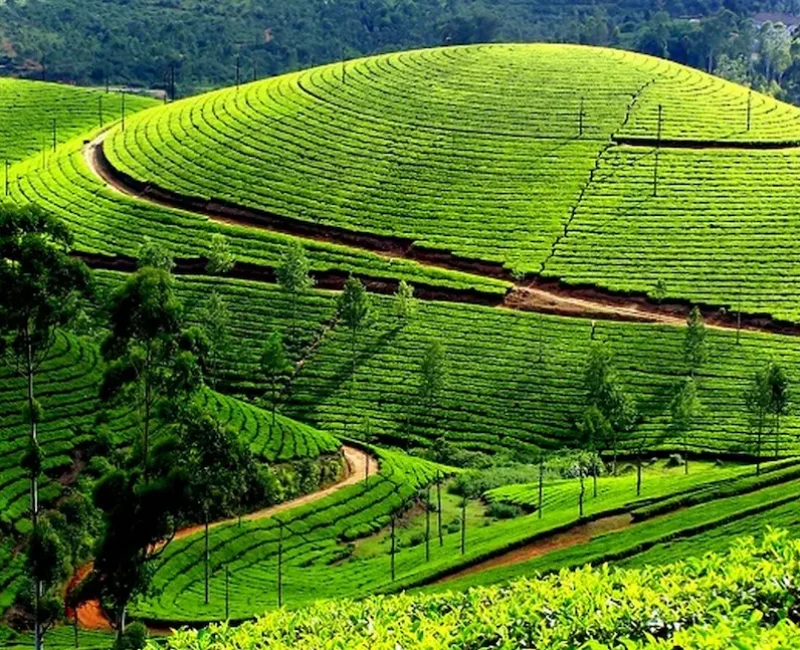 KeralaState